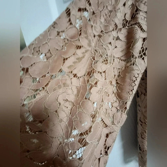 White House Black Market - S - Cold Shoulder Lace Top - Blush/ Nude Color, - Picture 3 of 5